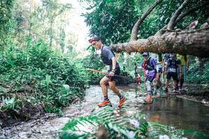 BIB: 
                            <button type="button" onclick="openModal(25450352)" class="btn btn-primary btn-sm float-right btn-popup" data-toggle="modal" data-target=".modal-high-quality">
                        <i class="fas fa-shopping-cart"></i> Add to Cart
                    </button>
                                            <button type="button" onclick="isThisMe(25450352, true)" class="btn btn-success btn-sm float-right btn-popup btn-isme hidden" data-toggle="tooltip" data-placement="bottom" title="นี่คือรูปของคุณใช่ไหม คลิกที่นี่เพื่อเอาเข้าอัลบั้ม">
                        <i class="fas fa-plus"></i> Add to album
                    </button>
                    <button type="button" onclick="isThisMe(25450352, false)" class="btn btn-warning btn-sm float-right btn-popup btn-isnotme hidden">
                        <i class="fas fa-ban"></i> Remove from album
                    </button>